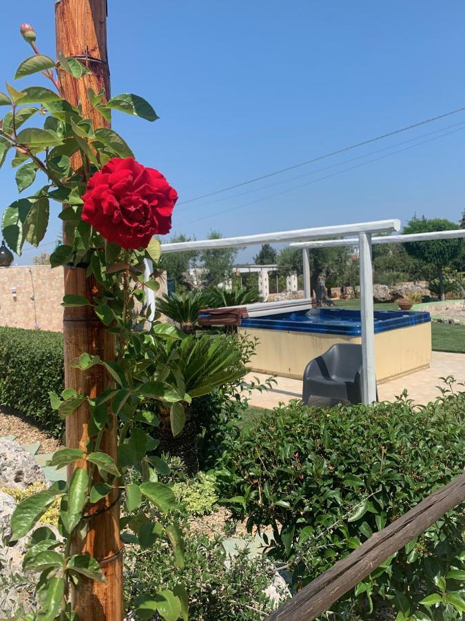 B&B Villa Grassi Alberobello Exterior photo